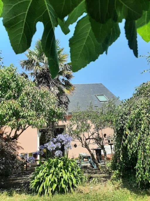 La Maison Rose - Avec Grand Jardin Clos A 300M De La Mer Hauteville-sur-Mer ภายนอก รูปภาพ