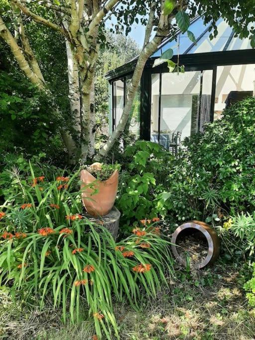 La Maison Rose - Avec Grand Jardin Clos A 300M De La Mer Hauteville-sur-Mer ภายนอก รูปภาพ
